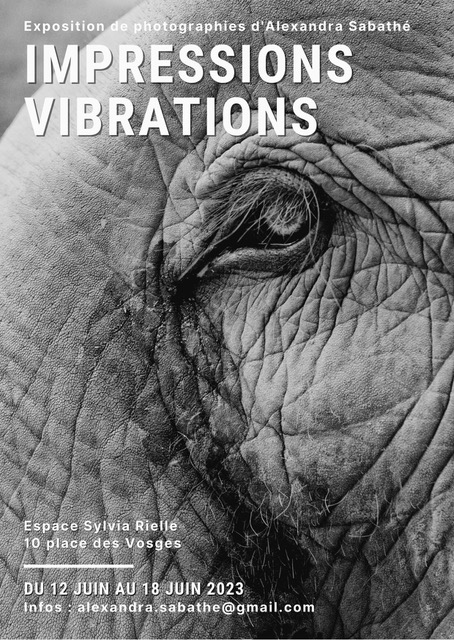 Exposition Impressions Vibrations