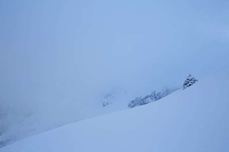 Paysage dans la brume