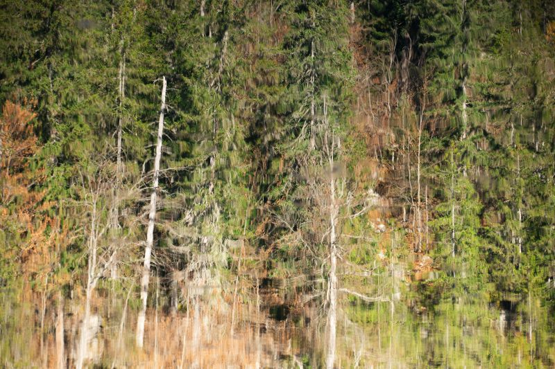 Série les Reflets 2024