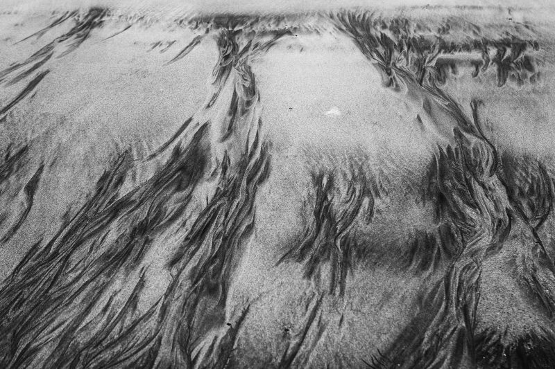 Impressions marines V