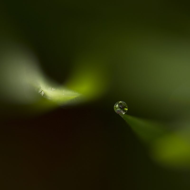 Goutte d'eau I